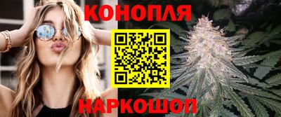 дмт Ярославль
