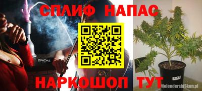ГАЛЛЮЦИНОГЕННЫЕ ГРИБЫ Янаул