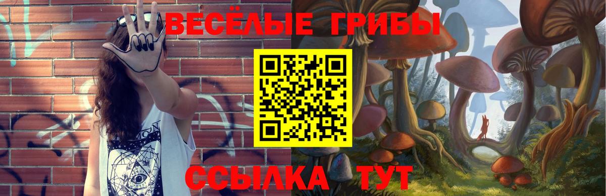 Галлюциногенные грибы GOLDEN TEACHER Воскресенск
